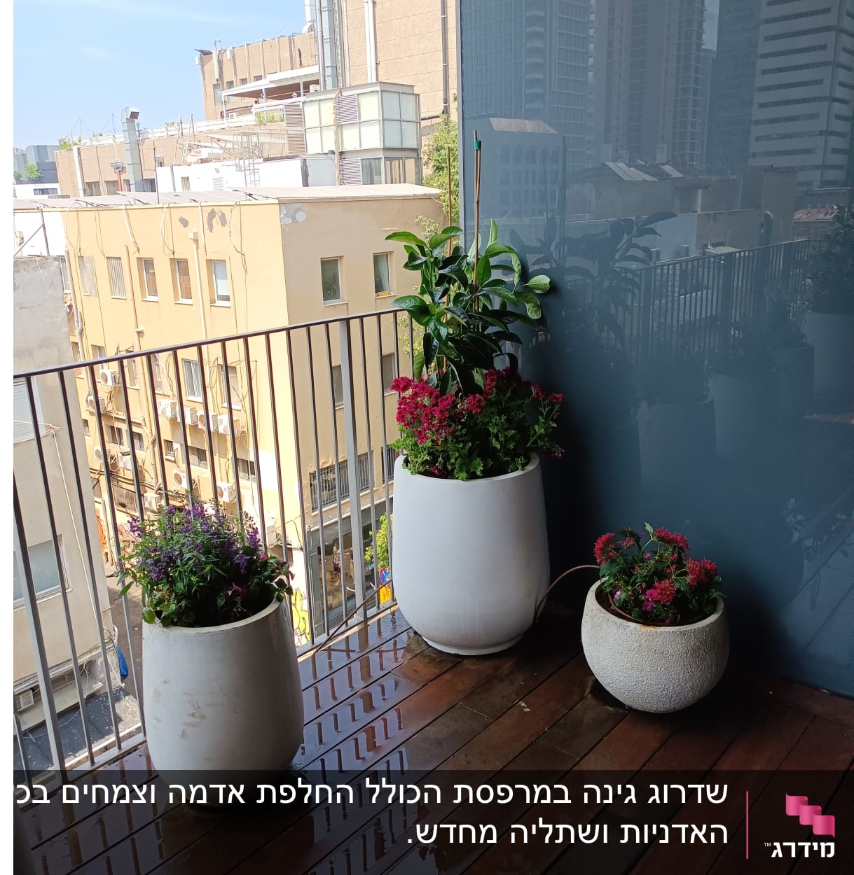 עציצים עם פרחים על מרפסת עץ רטובה